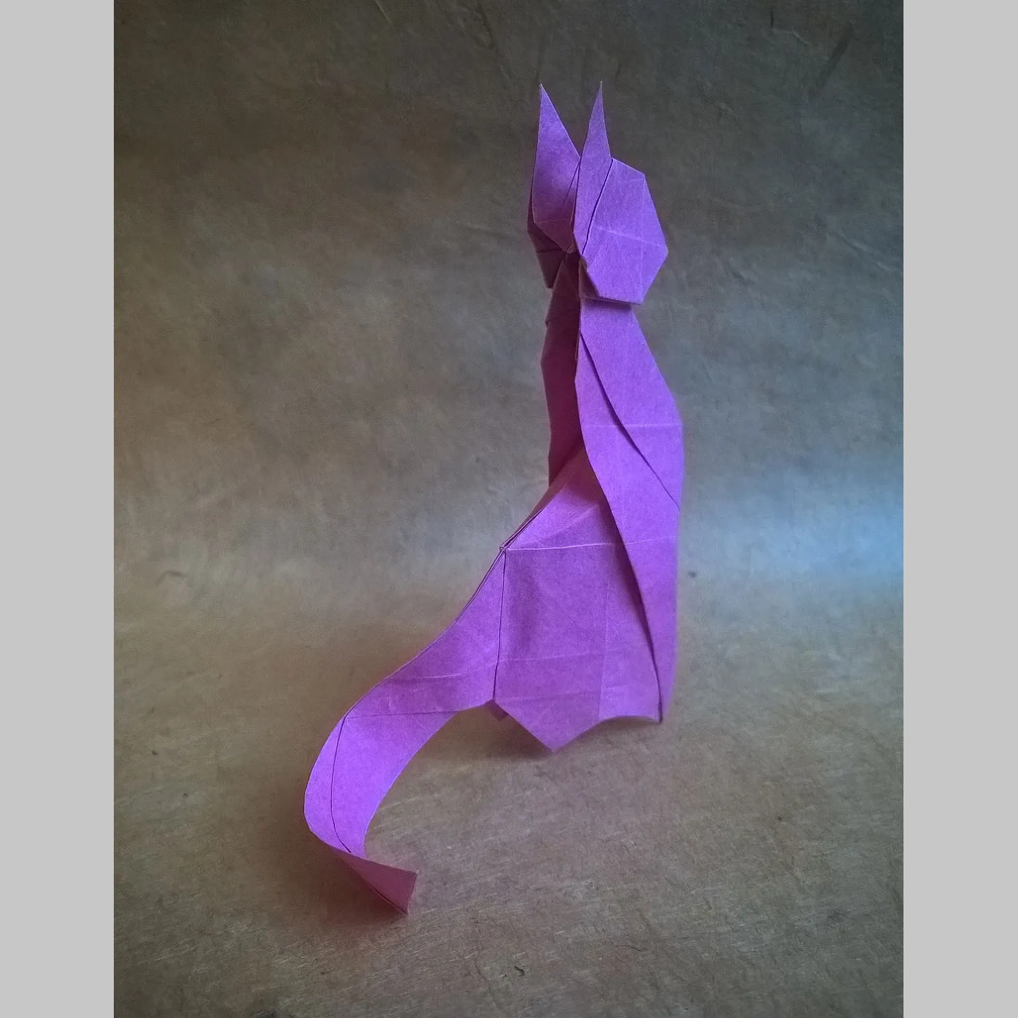 participant's work