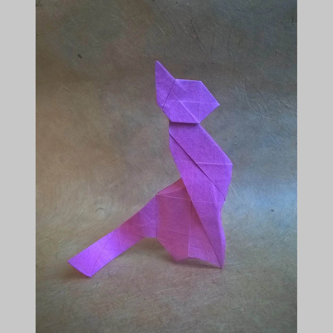 participant's work