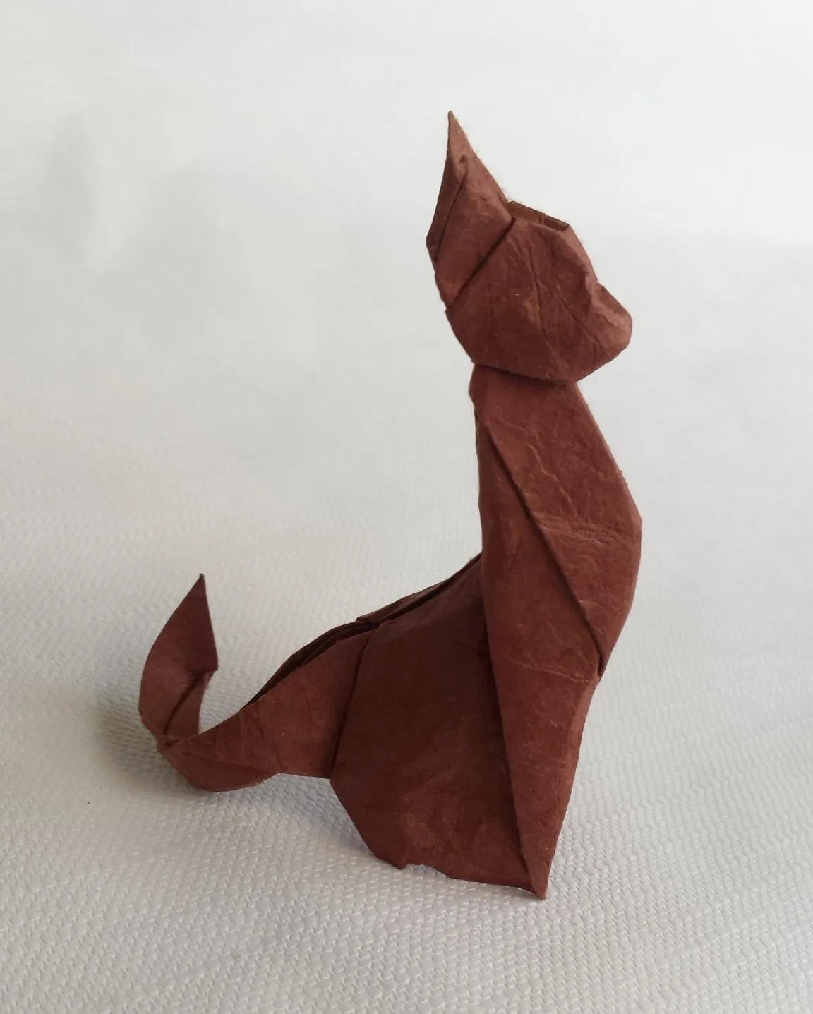 participant's work
