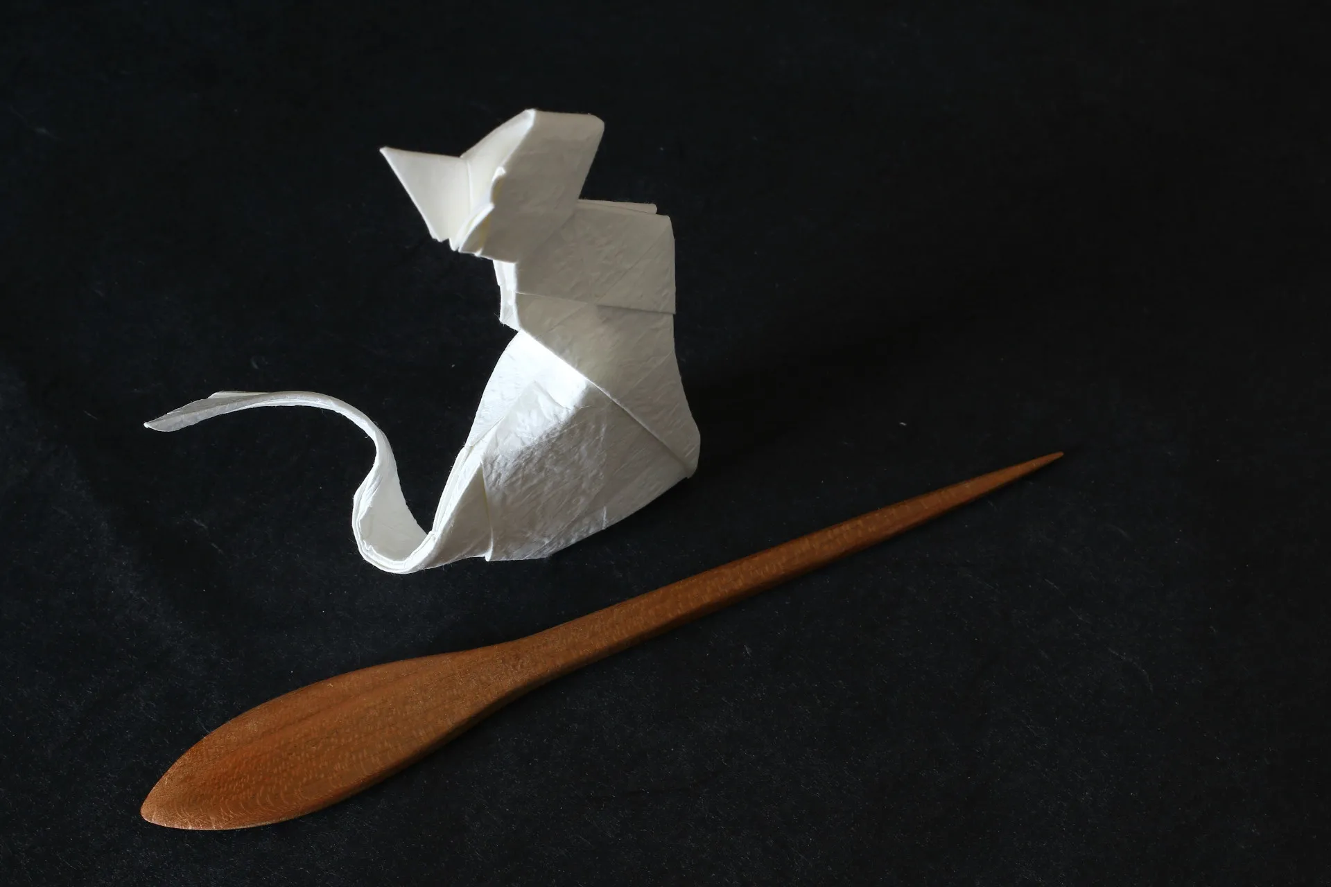 participant's work
