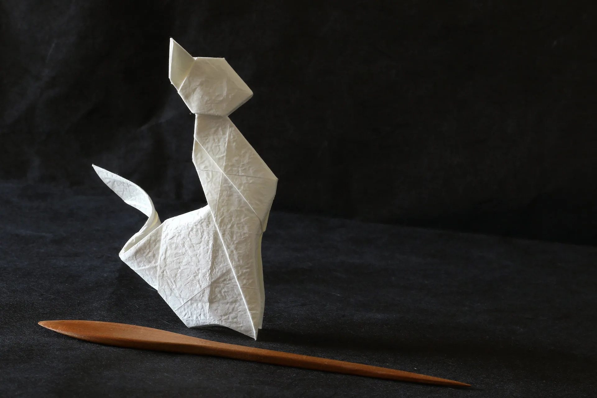 participant's work