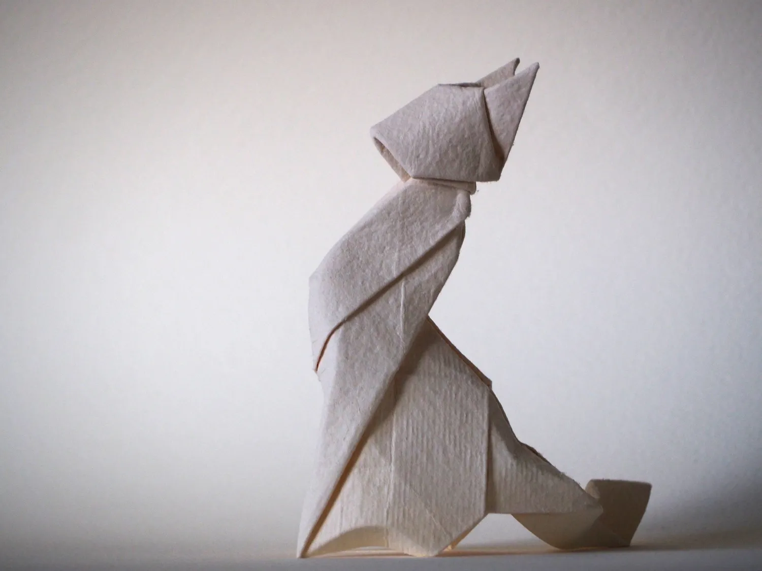participant's work