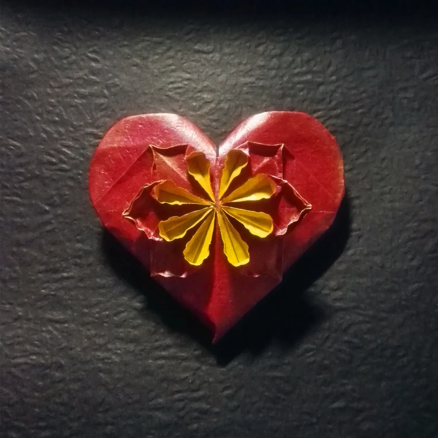participant's work