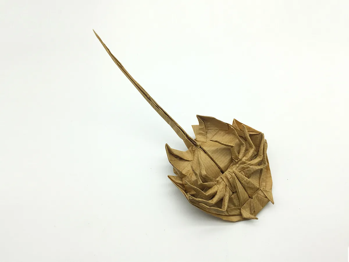 bronze medal