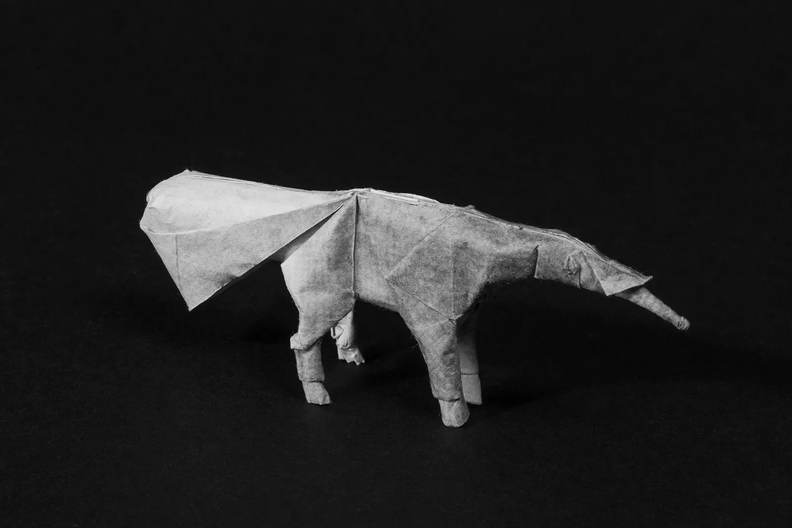 participant's work