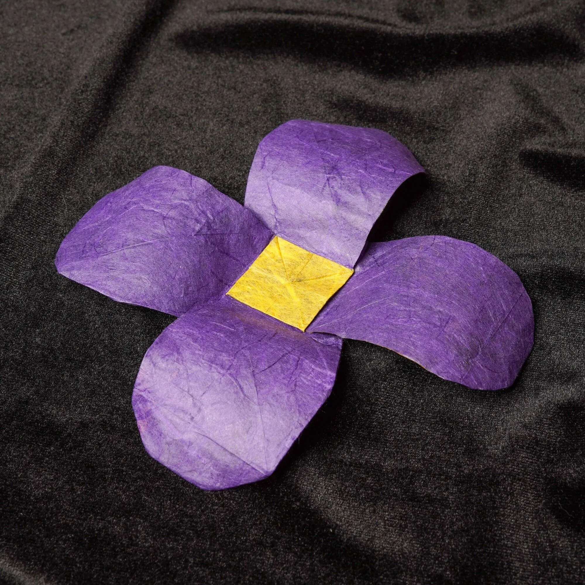 participant's work
