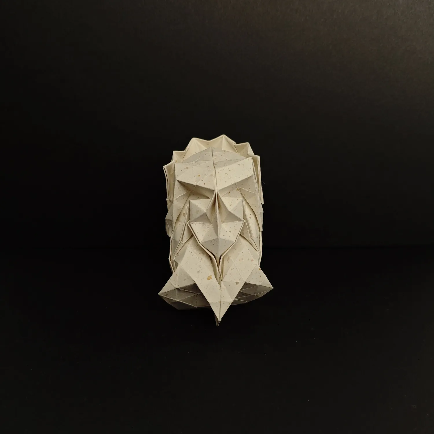 silver medal