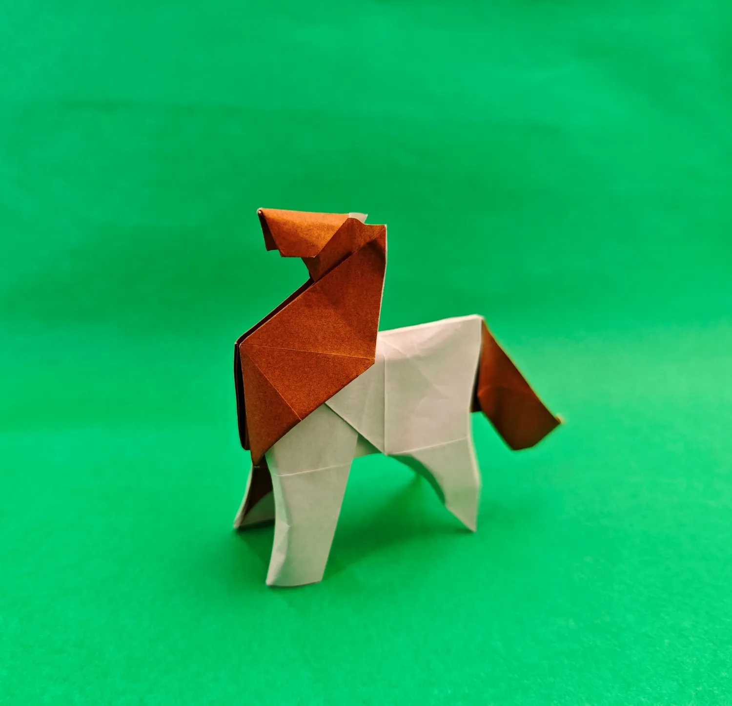 participant's work