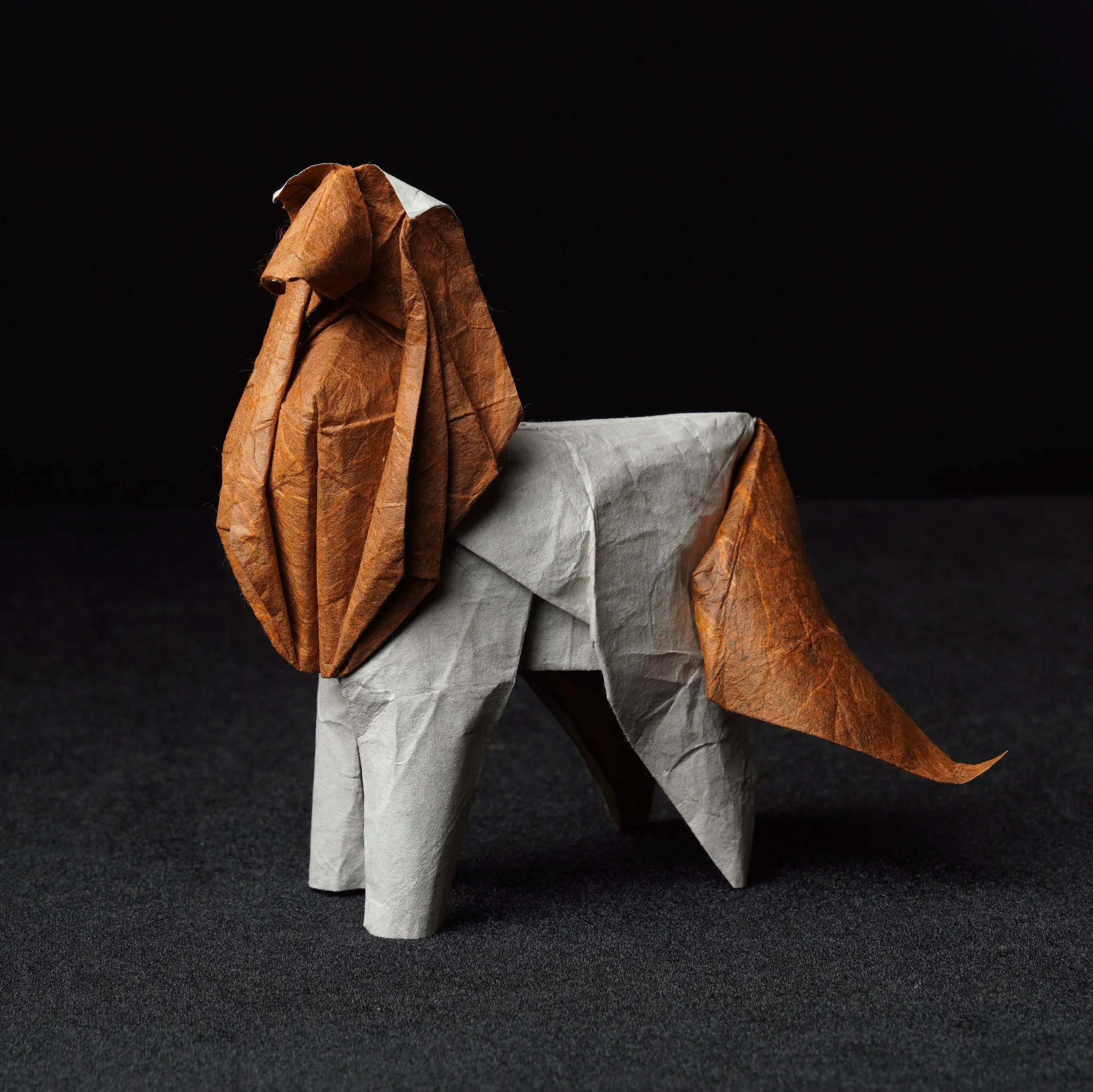 participant's work