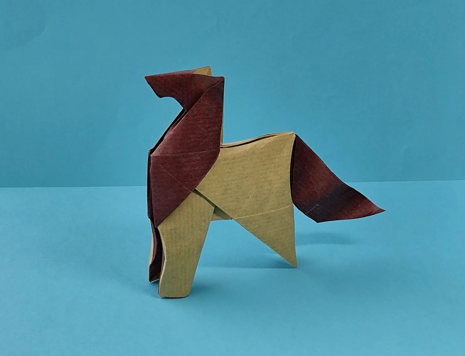 participant's work