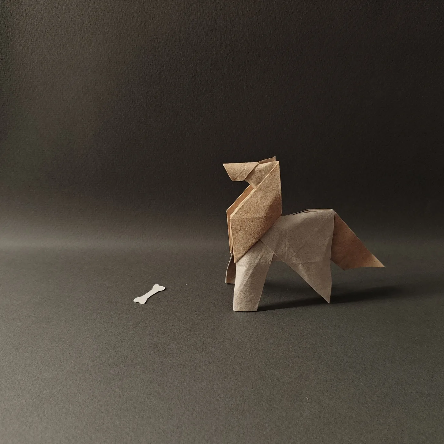 participant's work
