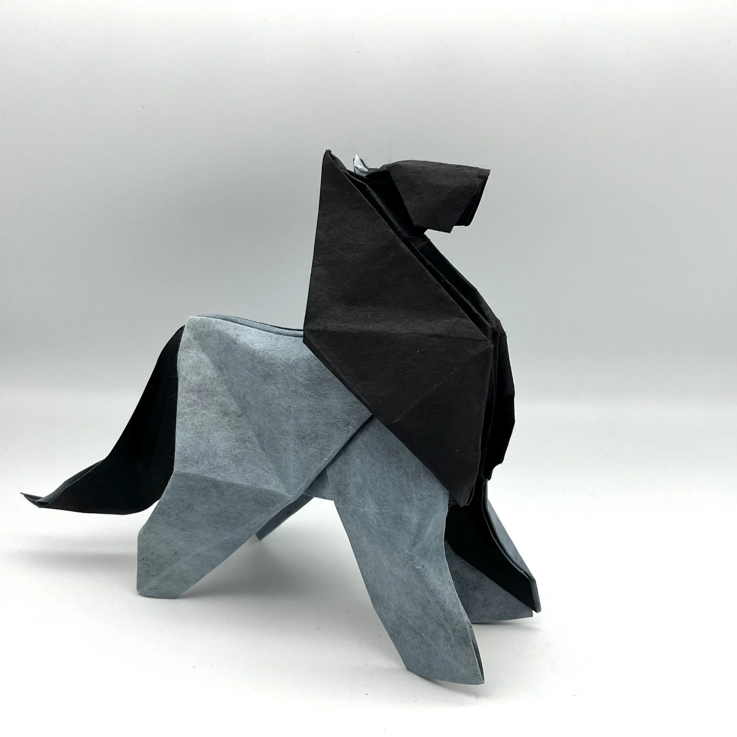 participant's work