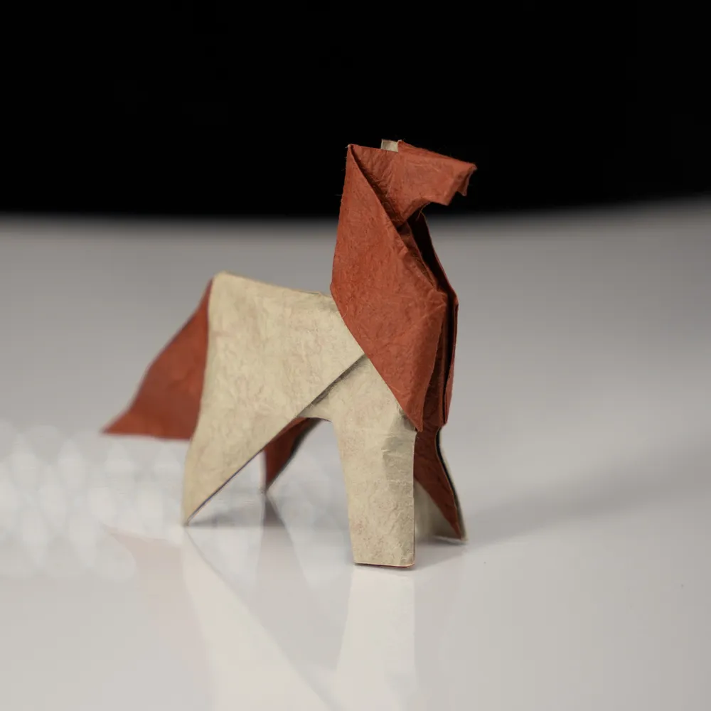 participant's work