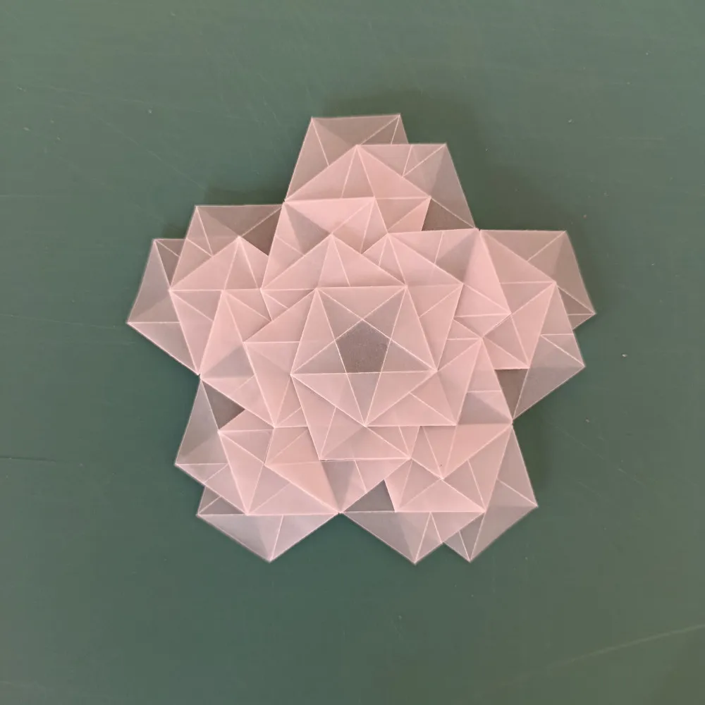 participant's work