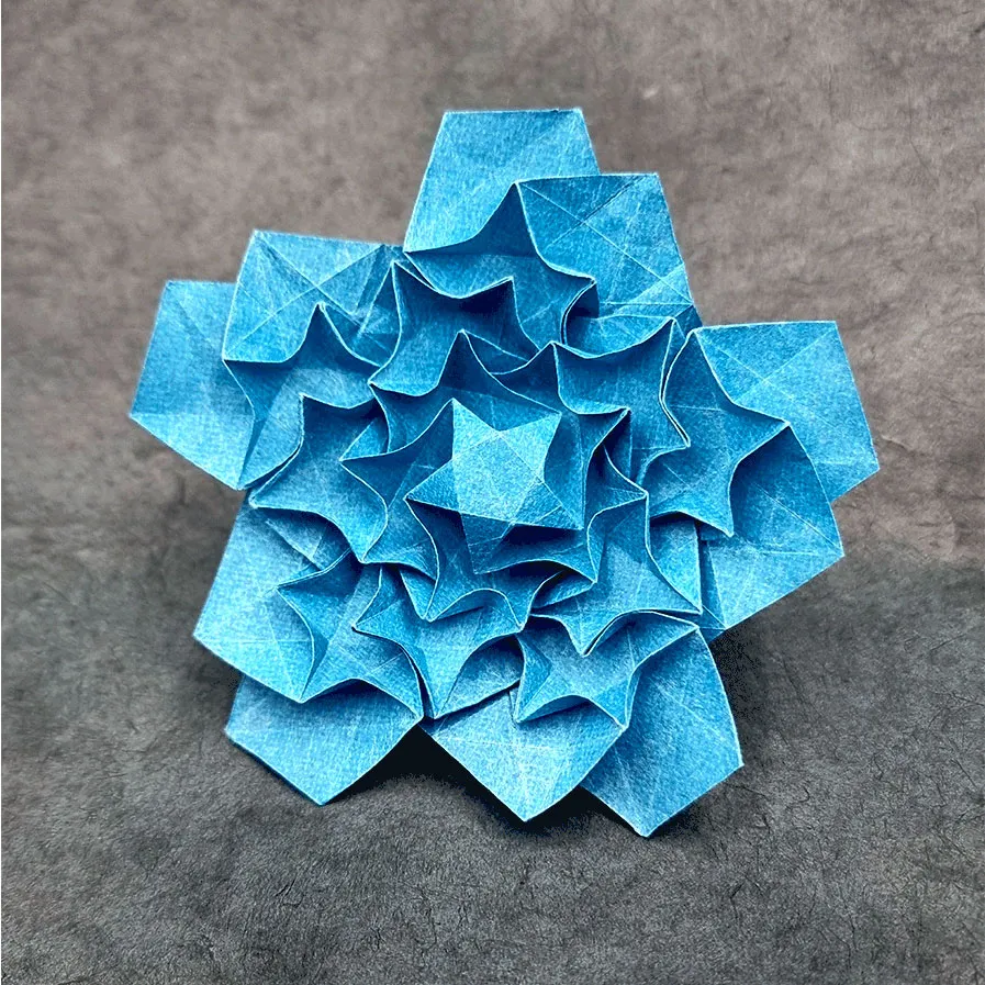 participant's work