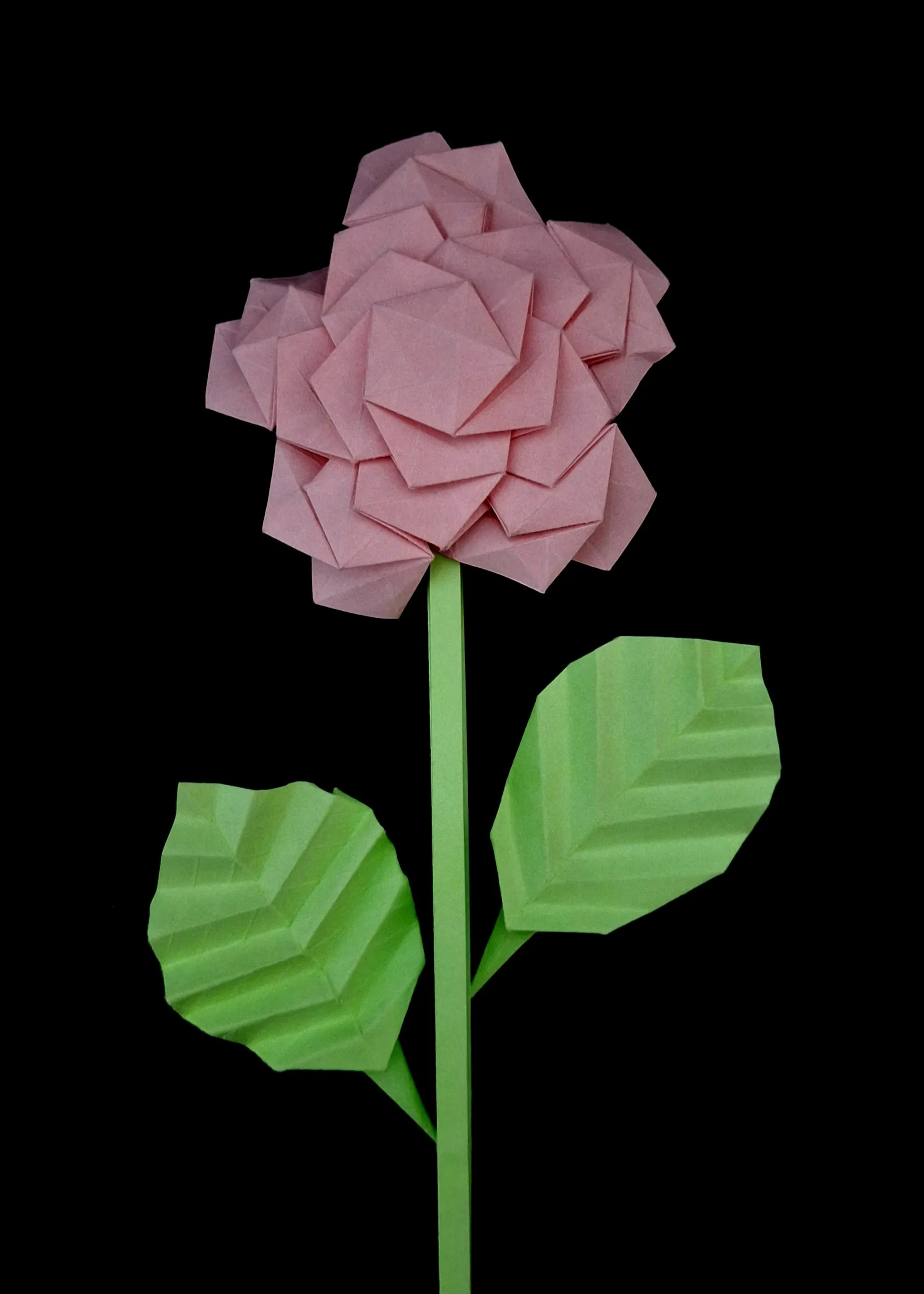 participant's work