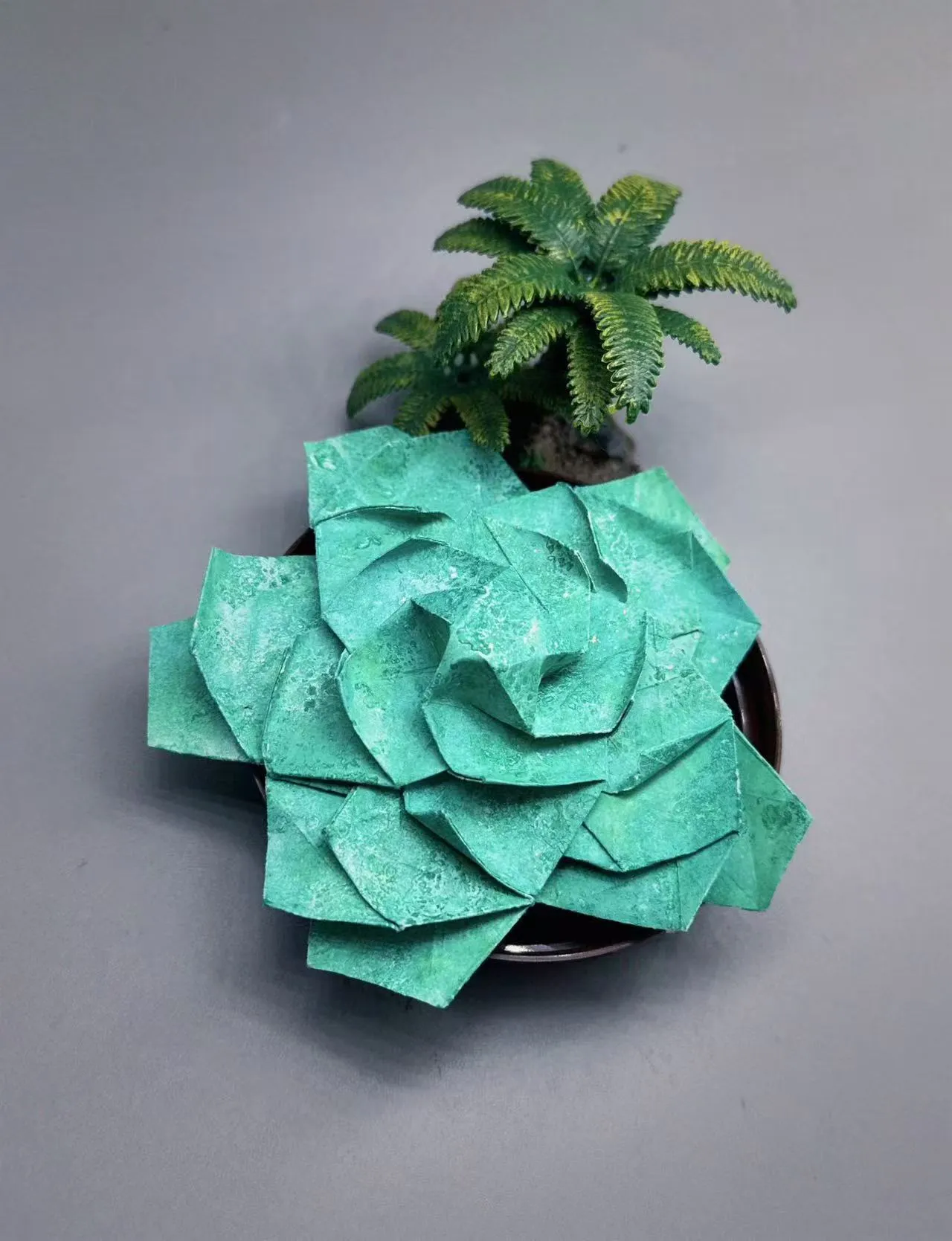 participant's work