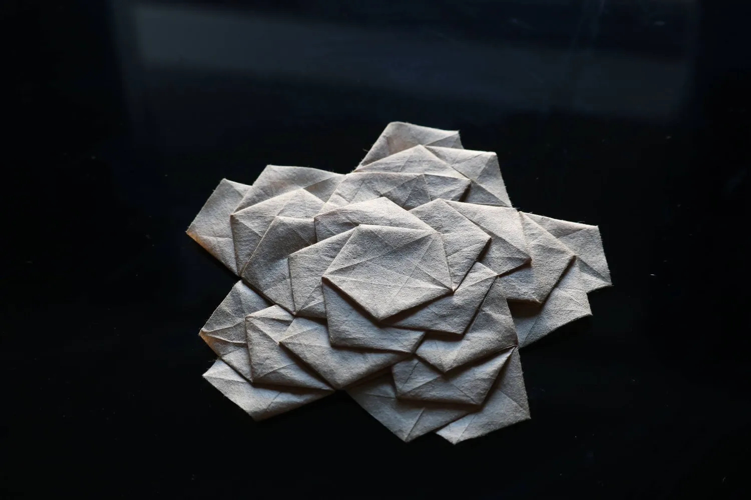 participant's work