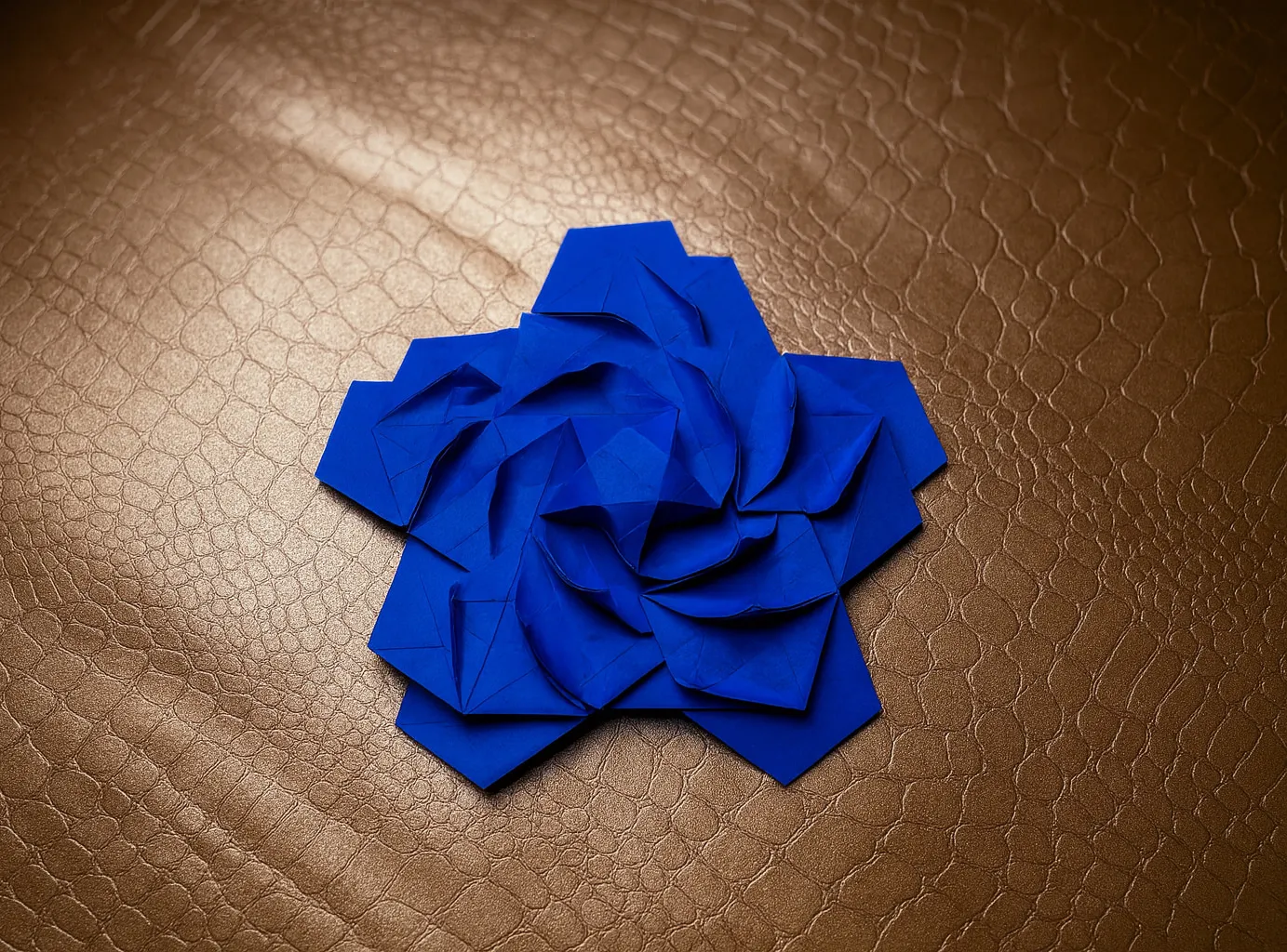 participant's work
